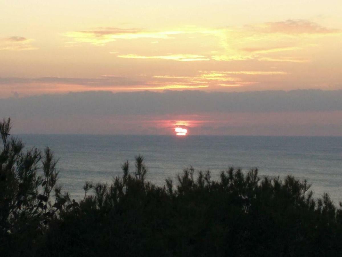 Oasi Del Cuore - Due Graziose Camere Con Vista Mare A 7 Min Dal Mare Di Castiglioncello Zewnętrze zdjęcie